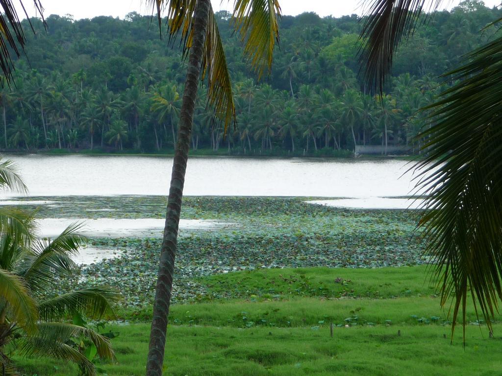 Ganesh Ayurveda Holiday Home Bed And Breakfast Kovalam Exterior foto